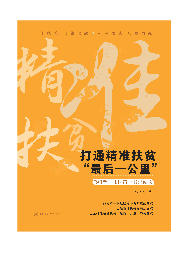 打通精准扶贫“最后一公里”  ——“90后”驻村第一书记纪实